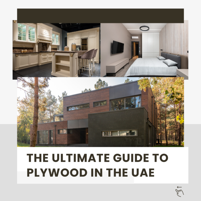 The Ultimate Guide to Plywood in the UAE: Why It’s the Top Choice for Construction, Furniture, and Interior Design